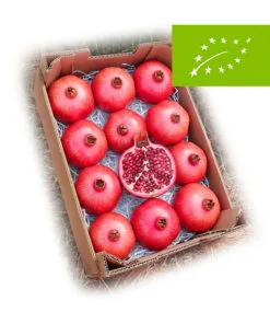 comprar_caja_granada