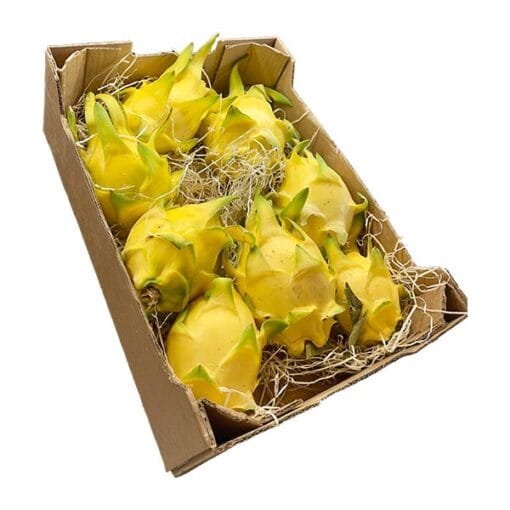 caja_pitahaya_amarilla