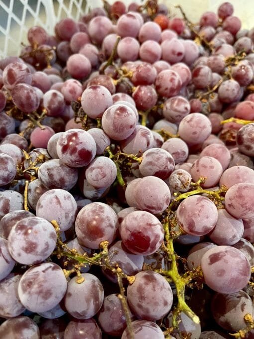 Uva Rosa de Fresa - 1 Kg / 2,5 Kg / 4 Kg