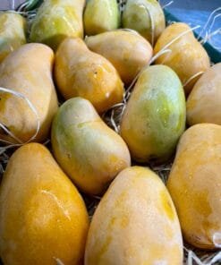 Caja Ataulfo - 1 Kg / 2,5 Kg / 4 Kg