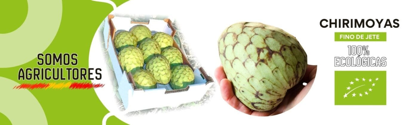 chirimoya_BANNER2