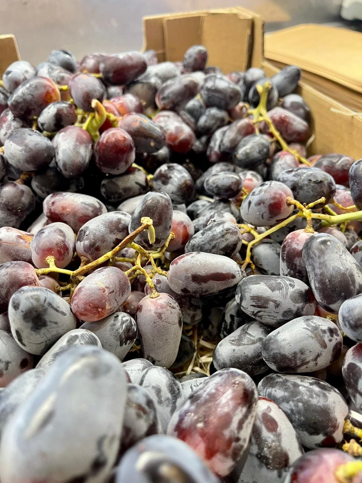 Caja Uva Autumn Black - 1 Kg / 2,5 Kg / 4 Kg - Imagen 2