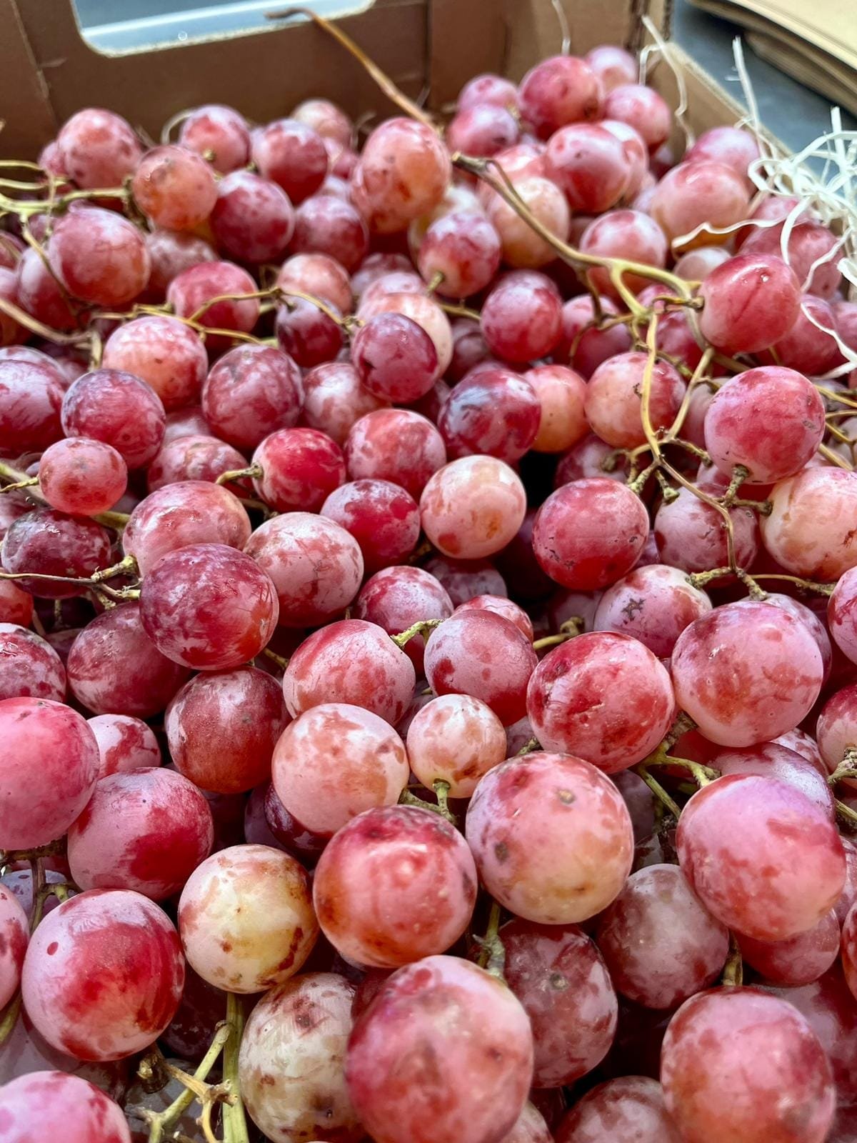 Caja Uva Red Globe - 1 Kg / 2,5 Kg / 4 Kg - Imagen 2