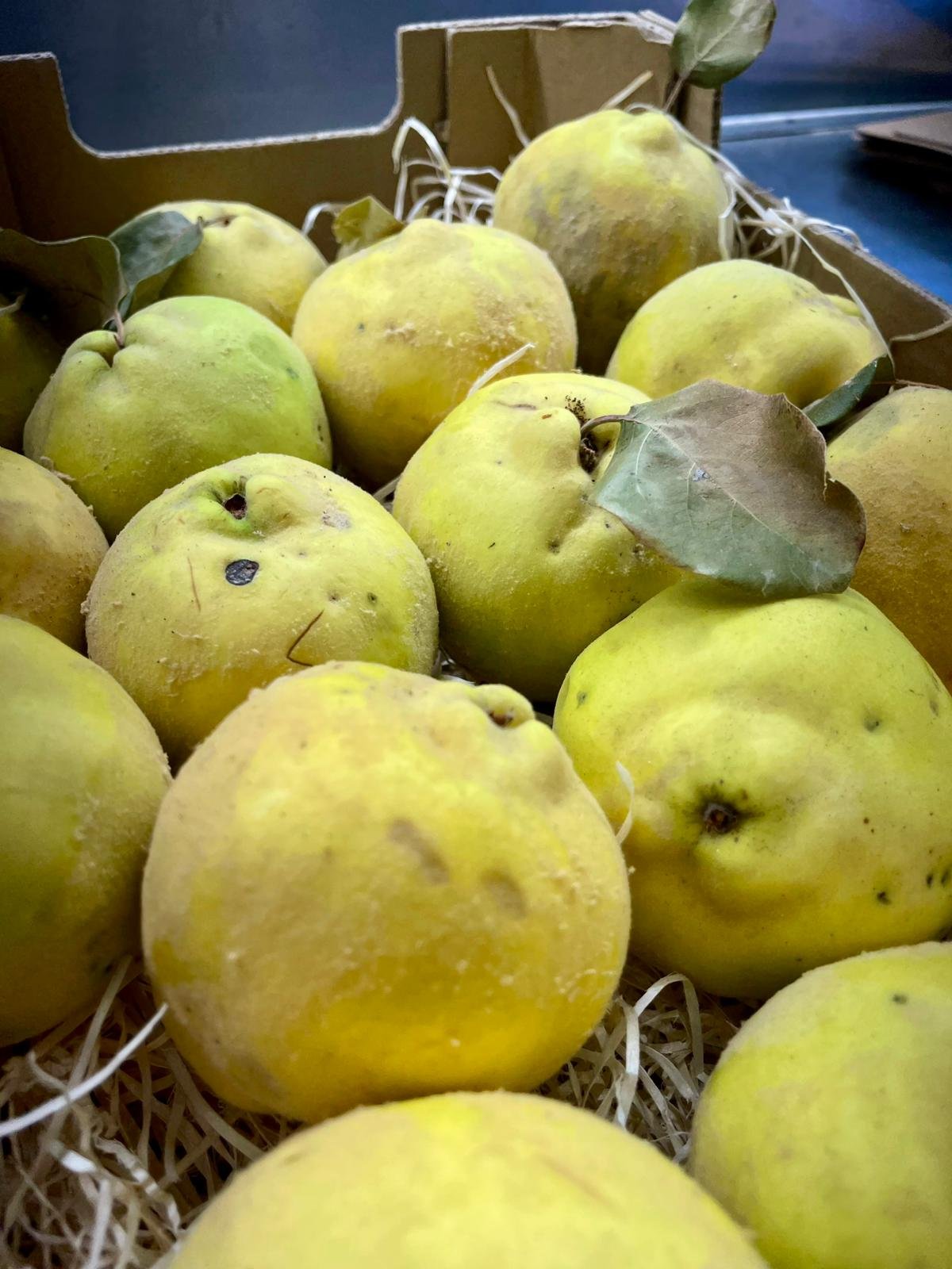 Caja Membrillo - 1 Kg / 2,5 Kg / 4 Kg - Imagen 2