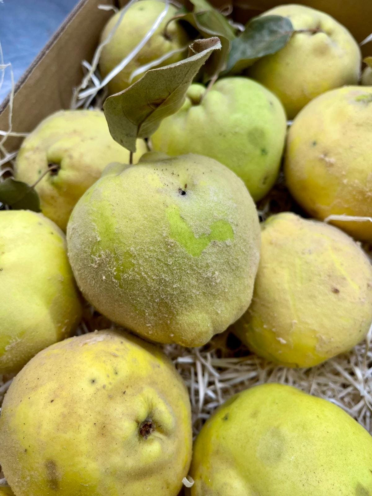 Caja Membrillo - 1 Kg / 2,5 Kg / 4 Kg