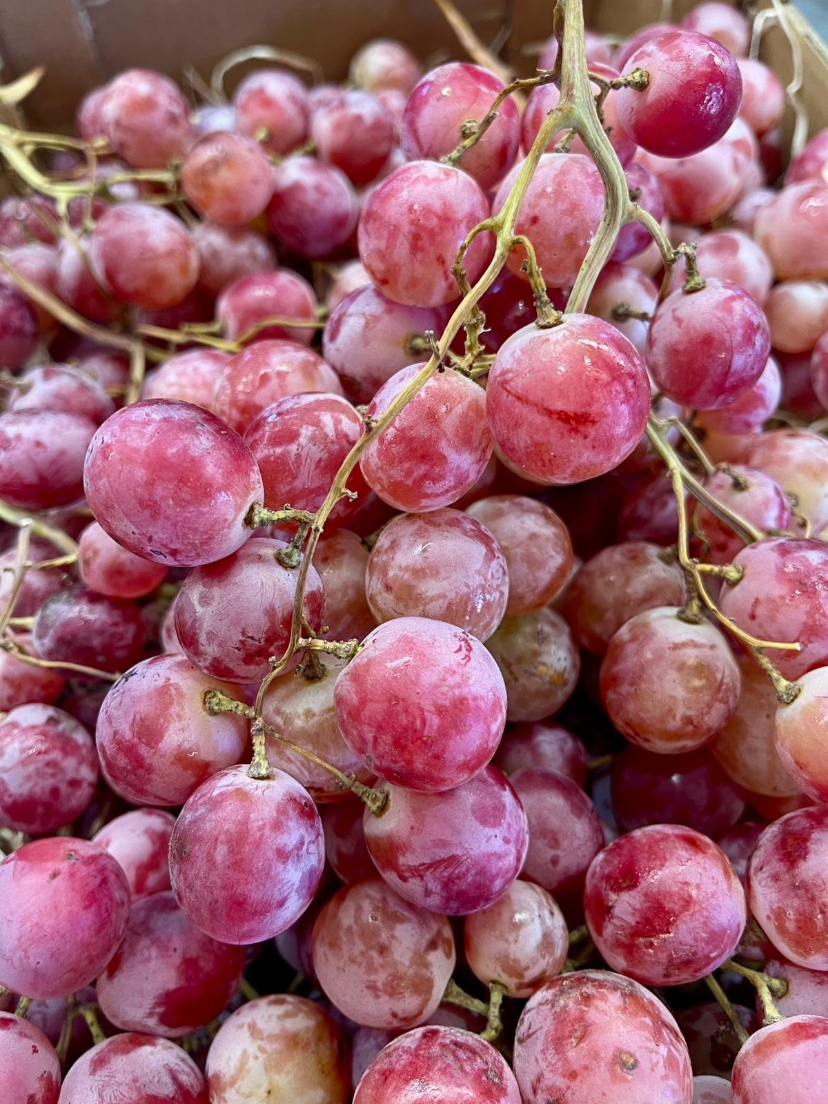 Caja Uva Red Globe - 1 Kg / 2,5 Kg / 4 Kg