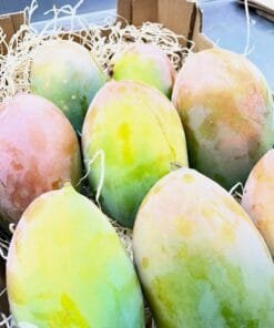 Mango Mix Exotic Selección - 1 Kg / 2,5 Kg / 4 Kg - Imagen 6