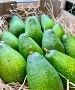 Aguacate Ettinger - 1 Kg / 2,5 Kg / 4 Kg