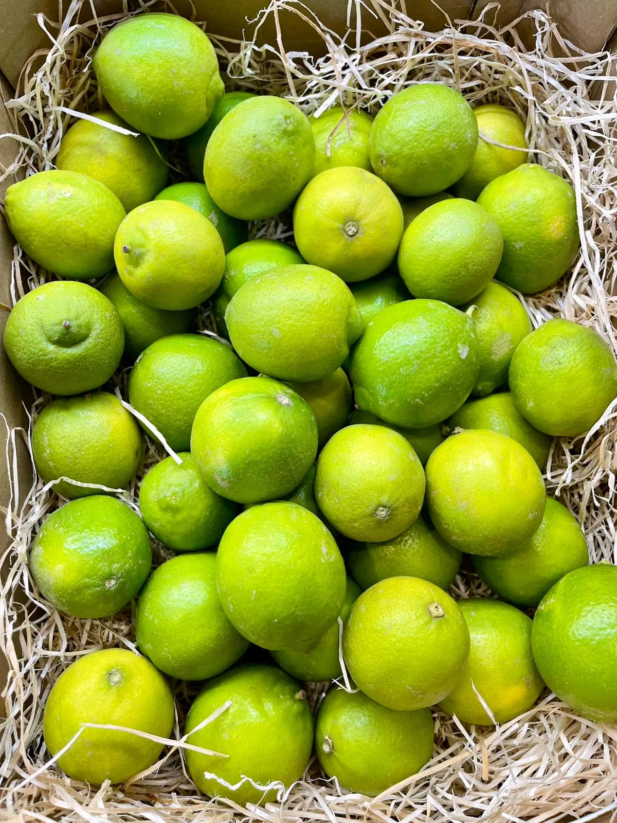 Lima - 1 Kg / 2,5 Kg / 4 Kg - Imagen 2