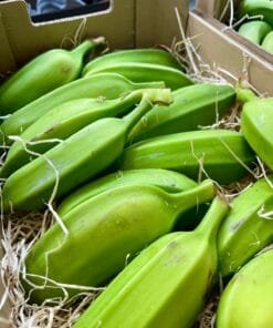 Plátano Cuadrado o Topocho - 1 Kg / 2,5 Kg / 4 Kg