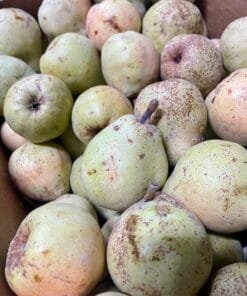 Caja Pera Comicie - 1 Kg / 2,5 Kg / 4 Kg