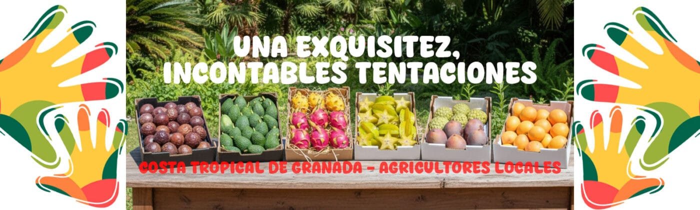 banner_cajas_frutas2