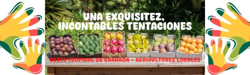 banner_cajas_frutas2