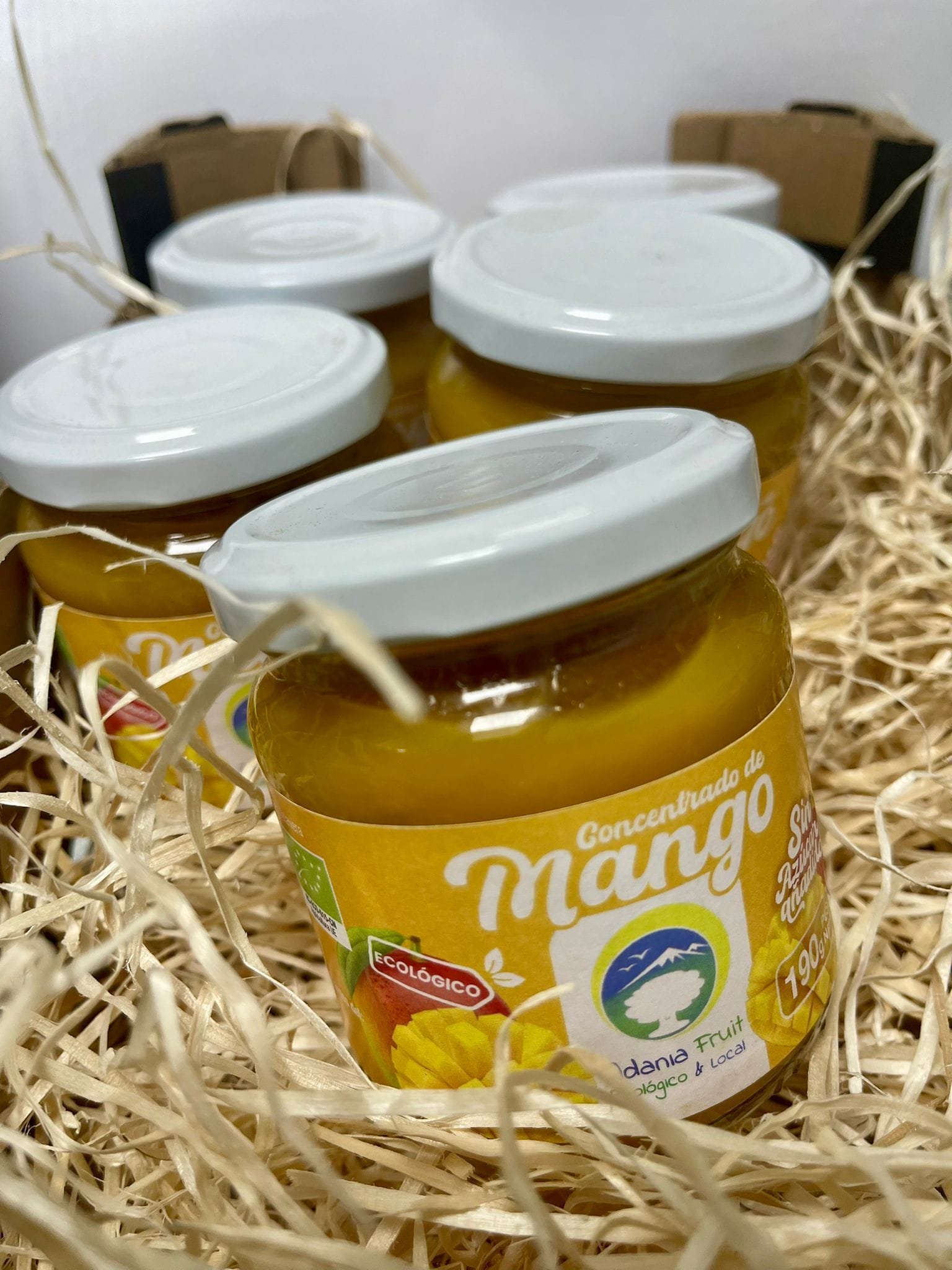 Concentrado de Mango Ecológico 190 GRS. - 1 Ud. / 6 Uds. - Imagen 3