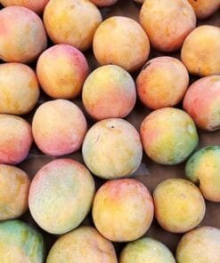Caja Mango Tropigold BIO - 1 Kg / 2,5 Kg / 4 Kg - Imagen 2