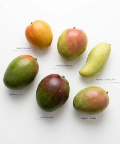 mango-packs-temporada