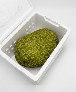 comprar-jackfruit