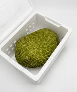 comprar-jackfruit